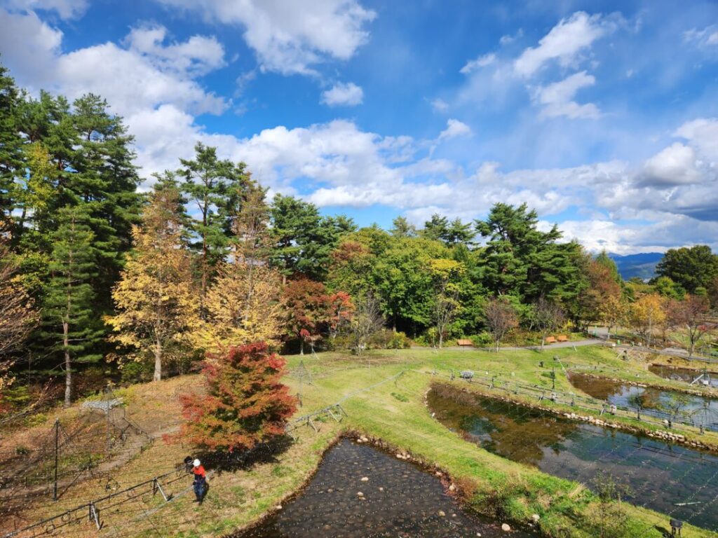 国営アルプスあづみの公園】の「堀金・穂高地区」