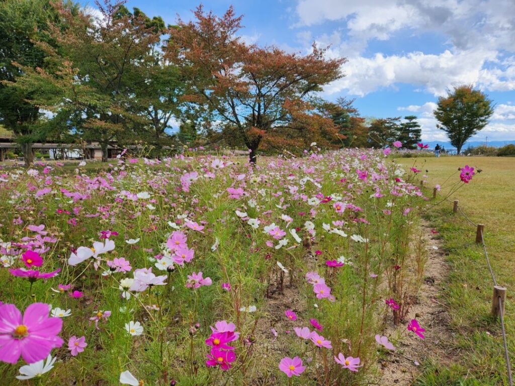 国営アルプスあづみの公園】の「堀金・穂高地区」