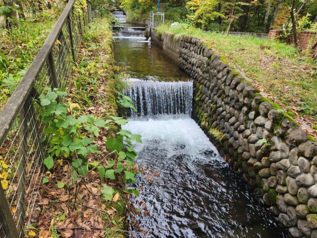 国営アルプスあづみの公園】の「堀金・穂高地区」