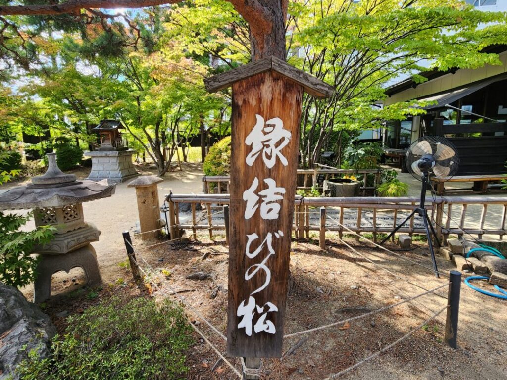 四柱神社の縁結びの松